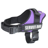 Tuigje voor hulphonden