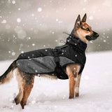 ChillCoat™ | Geavanceerde Waterdichte Winterjas Voor Honden
