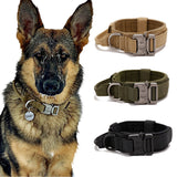 Duurzame Honden Halsband met Stoere Zware Gesp Voor Sterke Honden