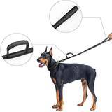Duurzame Honden Halsband met Stoere Zware Gesp Voor Sterke Honden
