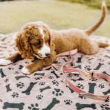 Plasbuddy Duurzame Herbruikbare Plas Matjes (1+1 GRATIS)