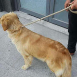 Duurzaam Gevlochten anti trek riem voor honden