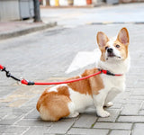 Duurzame Sliphalsband anti rek Voor Honden