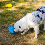 Squeaky Leuk Varken Hondenspeelgoed