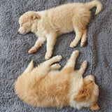 Pluizige Fleece Deken