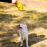 Squeaky Leuk Varken Hondenspeelgoed