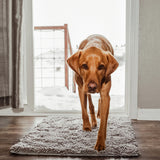 CleanPaw Mat | Honden Deur Schoonloop Mat