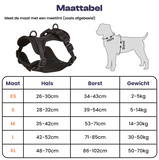 Ontsnap- en Trek Proof Ademend Honden Tuig 3 Bevestigingspunten