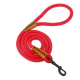 Sterke En Duurzame Hondenriem Met Sterke Haak