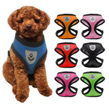 PawFit™ | Het harnas met riem voor honden en katten