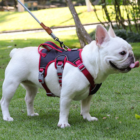 Hondentuig Anti-ontsnap Verstelbaar Met Handvat Reflecterend