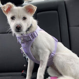 Ontsnap- en Trek Proof Ademend Honden Tuig 3 Bevestigingspunten