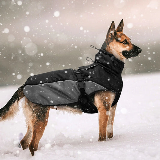 ChillCoat™ | Geavanceerde Waterdichte Winterjas Voor Honden