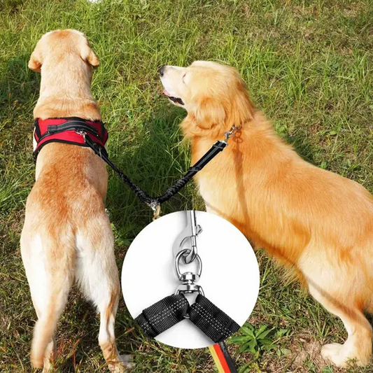 Hondenriem Splitter Voor 2 Honden