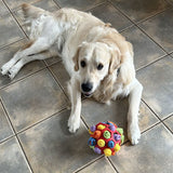 FunBall™ | Snuffelbal Honden Puzzel Speelgoed