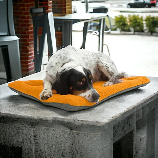 Wasbaar Honden Benchkussen