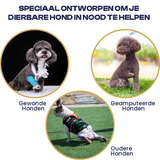 Ondersteunend Tuig Voor Herstellende Honden Artrose & Operaties