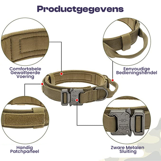 Duurzame Honden Halsband met Stoere Zware Gesp Voor Sterke Honden