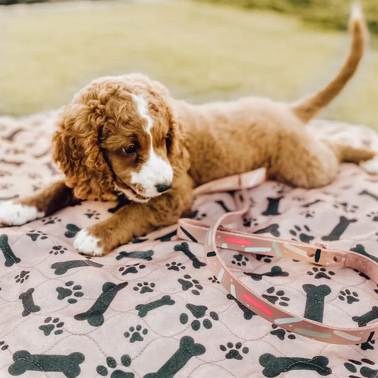 Plasbuddy Duurzame Herbruikbare Plas Matjes