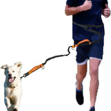 Reflecterende Handsfree Elastische Hondenriem