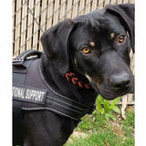 Tuigje voor hulphonden