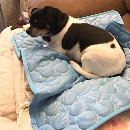 Ruffy Zelfkoelende Hondenmat Met IJszijde Wasbaar en Opvouwbaar Voor Zomerdagen