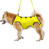Ondersteunend Tuig Voor Herstellende Honden Artrose & Operaties