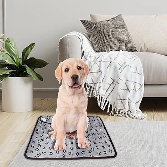 Huisdier Elektrische Verwarmingskussen Tegen Kou