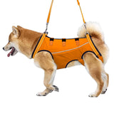 Ondersteunend Tuig Voor Herstellende Honden Artrose & Operaties