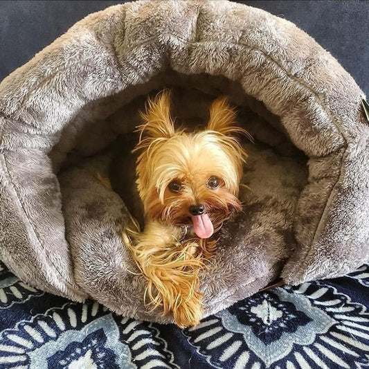 Cozy Cave Ontspanning Hondenbed