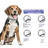 8 Maanden Teken(1+1 GRATIS)