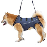 Ondersteunend Tuig Voor Herstellende Honden Artrose & Operaties