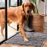 CleanPaw Mat | Honden Deur Schoonloop Mat