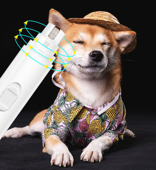 Clip™ | Innovatieve Nagelverzorging Voor Huisdieren