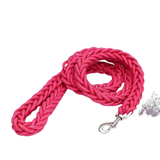 Stevig Gewoven Hondenriem Voor Grote en Middelgrote Honden