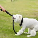 Stevig Gewoven Hondenriem Voor Grote en Middelgrote Honden