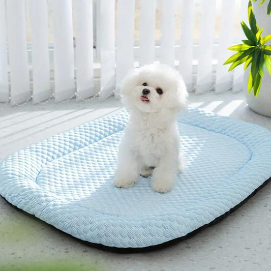 Superzacht Verkoelend Hondenbed met Traagschuim Wasbaar en Ademend Ontwerp