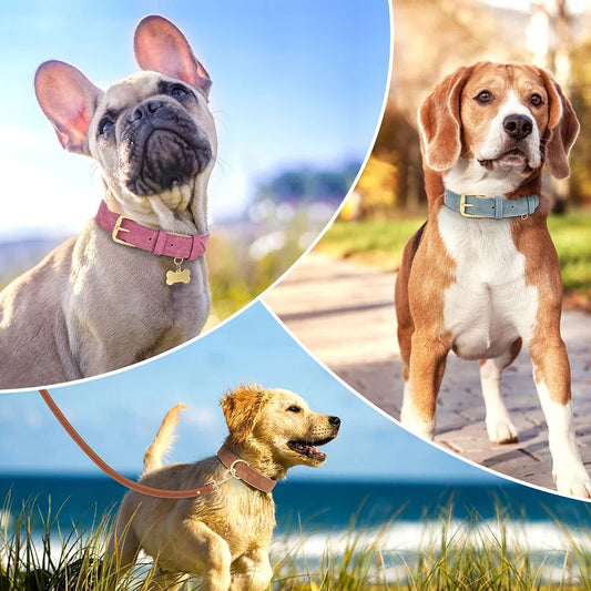 Hondenhalsband Van Duurzaam Zacht Leer