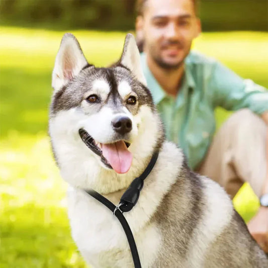 Duurzame Sliphalsband anti rek Voor Honden